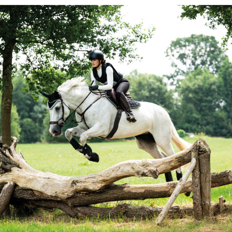 Casque Dallas XC - QHP | Vestride