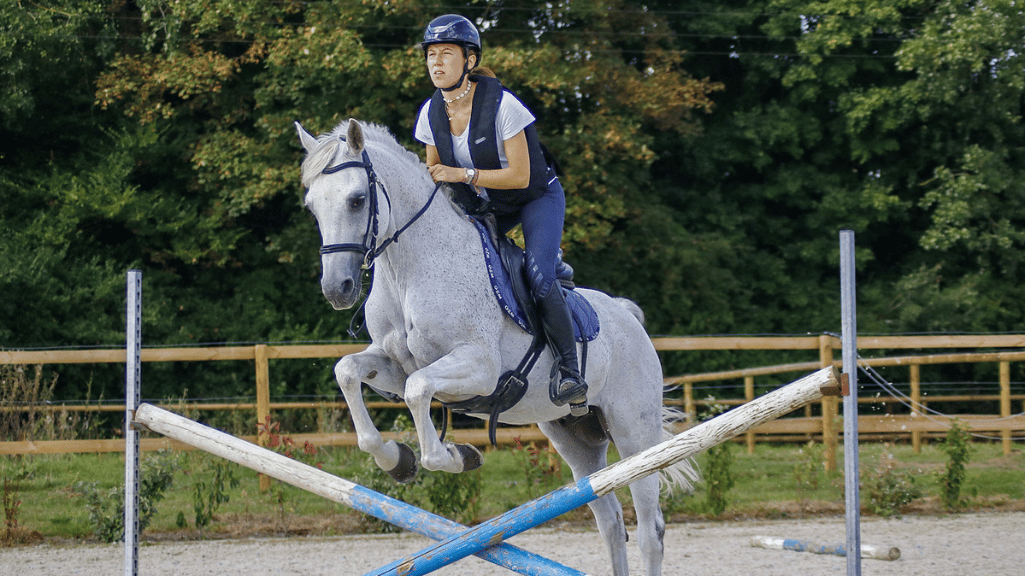 Rentrée : faites le point sur votre équipement d’équitation