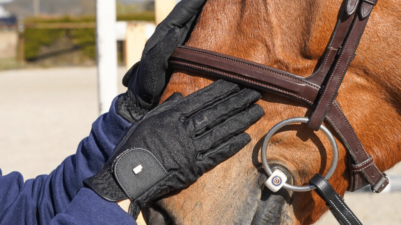 Gants d’équitation Roeckl : sécurité et confort à cheval