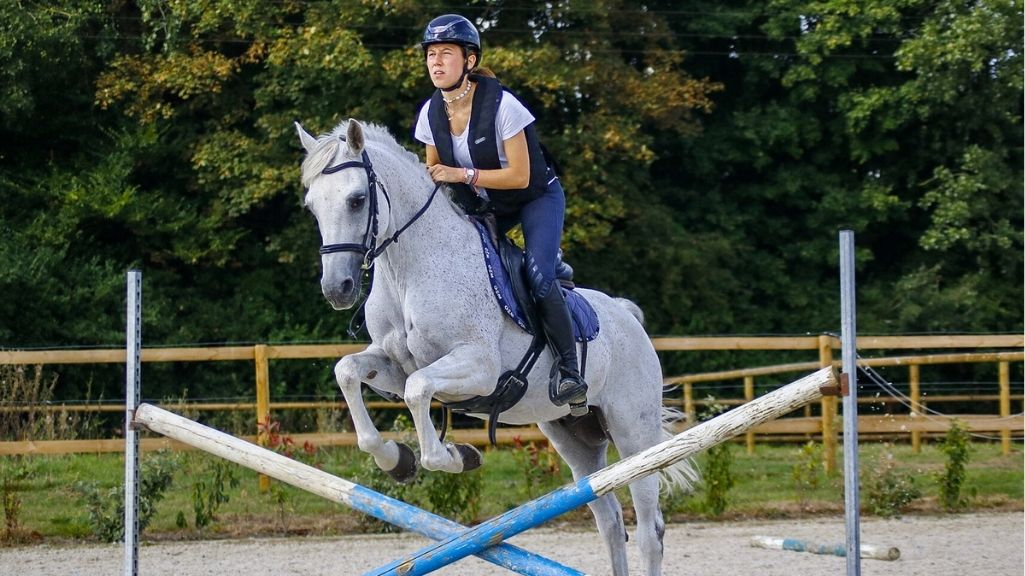 Rentrée : faites le point sur votre équipement d’équitation