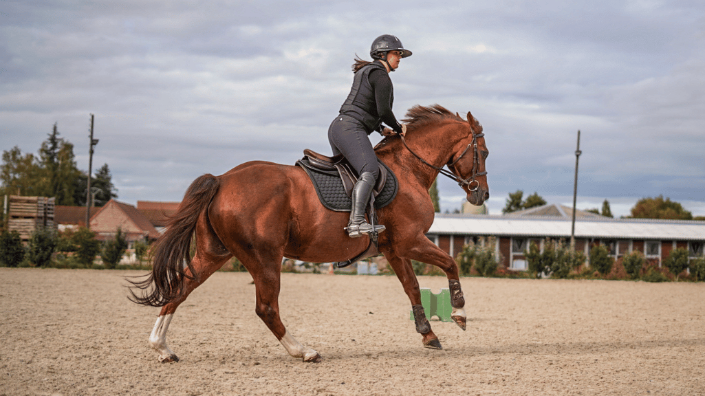 Améliorer sa position à cheval : l&rsquo;importance des étriers