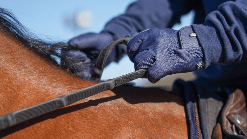 Quelle taille de gants d&rsquo;équitation choisir ? On vous aide à trouver la bonne taille