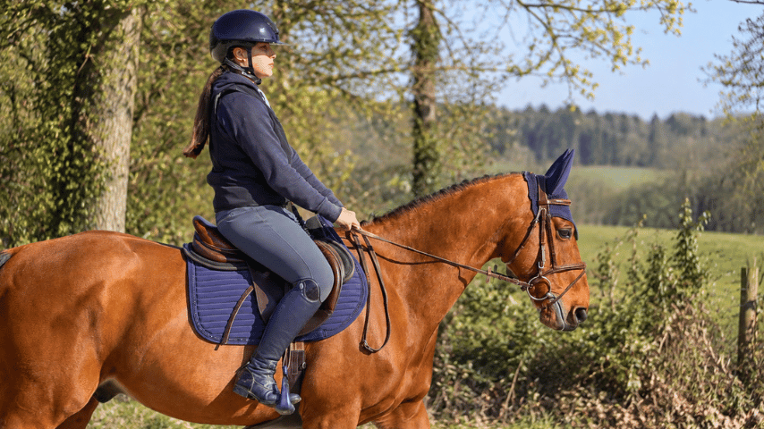 Balade à cheval : comment bien se préparer pour partir en extérieur ?