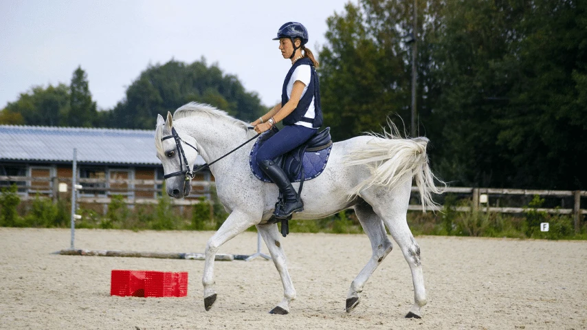 Airbag d&rsquo;équitation et faux déclenchement, que faire ?