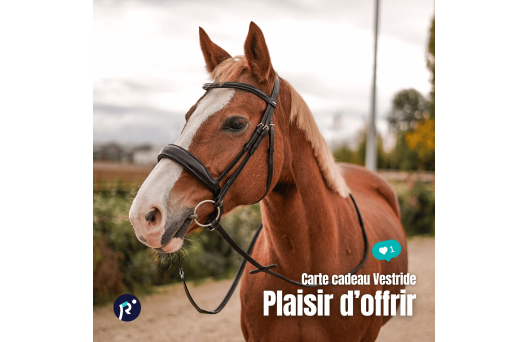 Carte cadeau - Plaisir d'offrir 3
