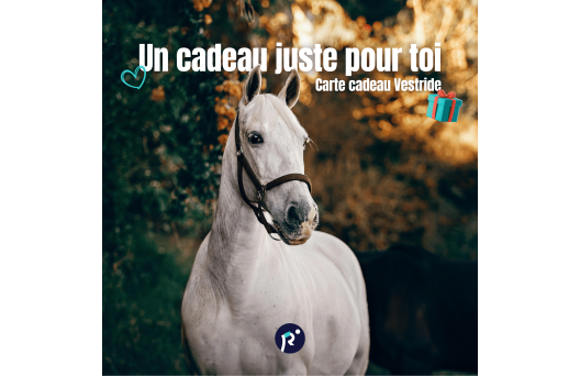 Carte cadeau - Surprise 1