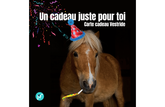 Carte cadeau - Surprise 2