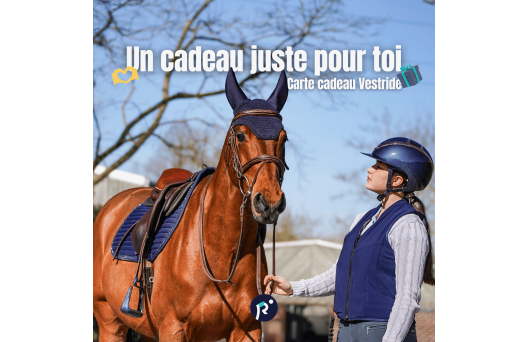 Carte cadeau - Surprise 3