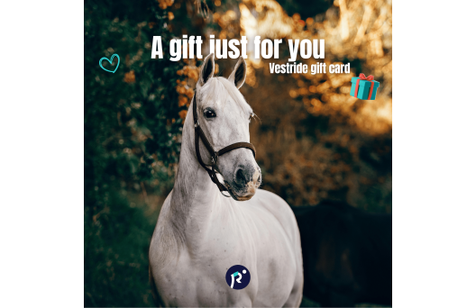 Gift card - Surprise 1