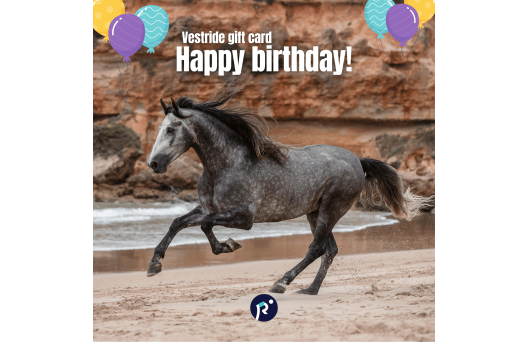 Gift card - Birthday 2