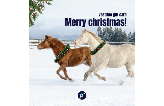 Gift card - Christmas 1