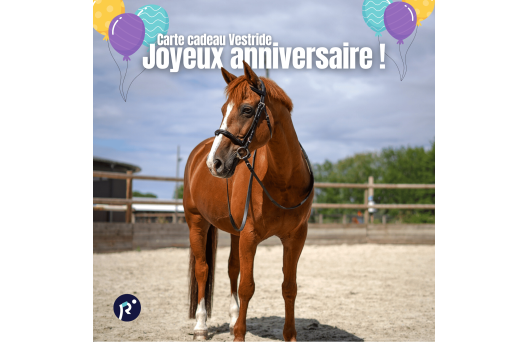 Carte cadeau - Joyeux anniversaire 1