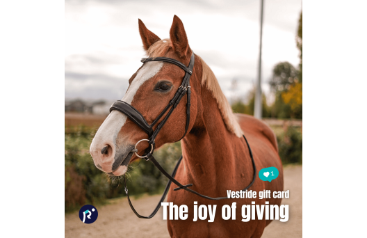 Gift card - Surprise 3