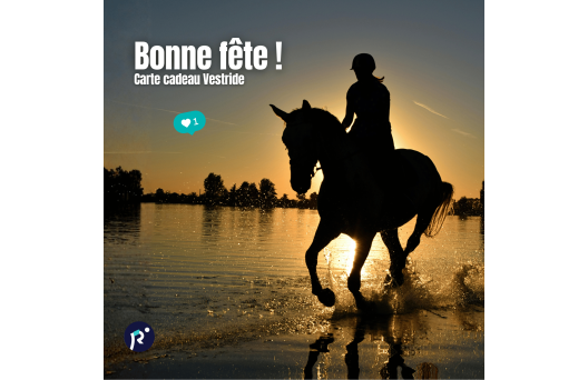 Carte cadeau - Bonne fête 2