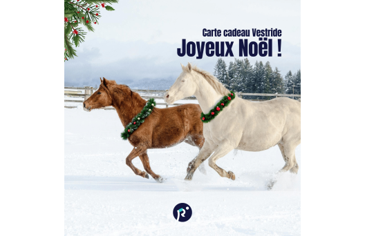 Carte cadeau - Joyeux Noël 1