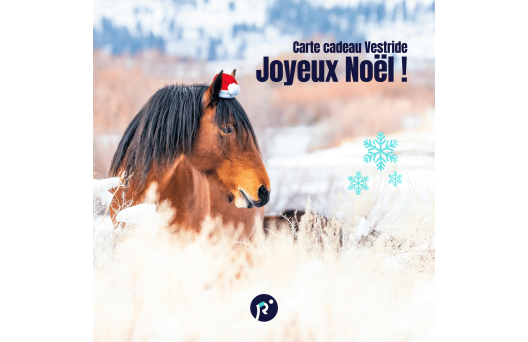 Carte cadeau - Joyeux Noël 2
