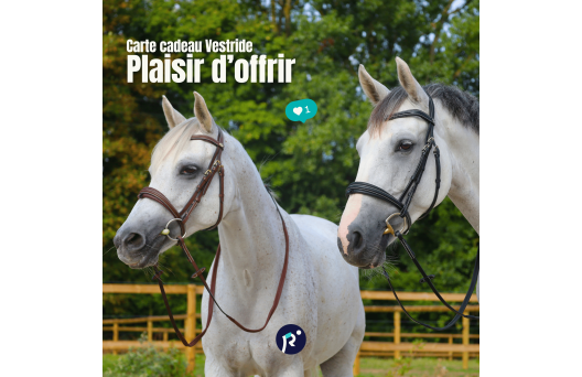 Carte cadeau - Plaisir d'offrir 1