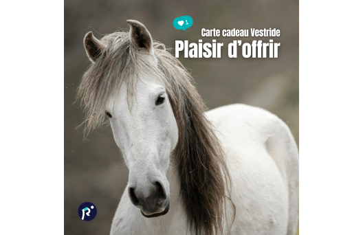Carte cadeau - Plaisir d'offrir 2